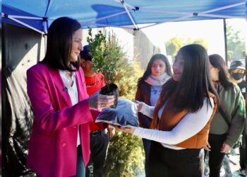 En ÁO. hemos recolectado 2 mil pinos de navidad para reciclaje, Lía Limón 2