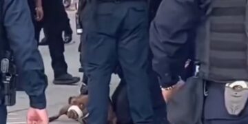 el miércoles, cuando más de 10 elementos del “Escuadrón de Operaciones Especiales” cerró la calle de Yucatán en la colonia Roma, no para enfrentar a una peligrosa banda criminal, sino para “someter” a un perro