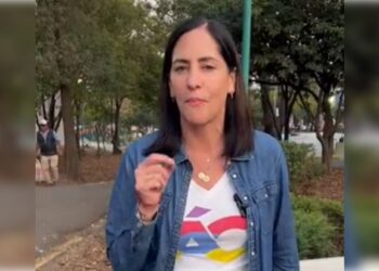 La alcaldesa de Álvaro Obregón, Lía Limón, denunció públicamente que un grupo de golpeadores enviados por el partido Morena agredieron a niñas y niños durante un evento de la Alcaldía en que celebraban por el Día de Reyes.