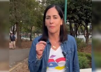 La alcaldesa de Álvaro Obregón, Lía Limón, denunció públicamente que un grupo de golpeadores enviados por el partido Morena agredieron a niñas y niños durante un evento de la Alcaldía en que celebraban por el Día de Reyes.