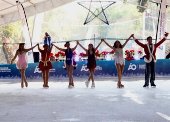 Invita Alcaldía ÁO a reciclar árboles naturales de Navidad