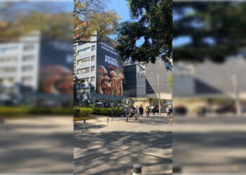 Denuncian a Netflix por violar Ley de Publicidad Exterior