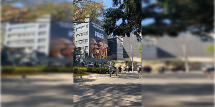 Denuncian a Netflix por violar Ley de Publicidad Exterior