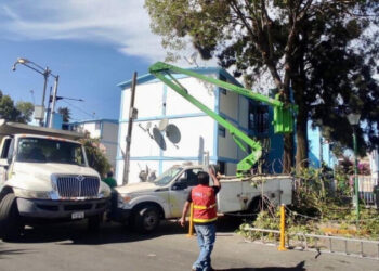 Atiende Alcaldía Coyoacán reportes vecinales