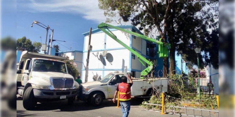 Atiende Alcaldía Coyoacán reportes vecinales