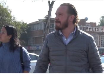 Recolecta Alcaldía Benito Juárez árboles de navidad para convertirlos en composta para parques y áreas verdes