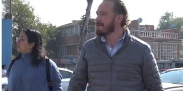 Recolecta Alcaldía Benito Juárez árboles de navidad para convertirlos en composta para parques y áreas verdes