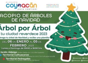 Invita Alcaldía Coyoacán al acopio de árboles de navidad
