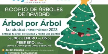 Invita Alcaldía Coyoacán al acopio de árboles de navidad