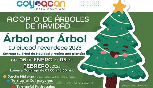 Invita Alcaldía Coyoacán al acopio de árboles de navidad
