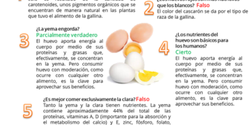 Incrementa el precio del huevo 27% durante enero: SNIIM