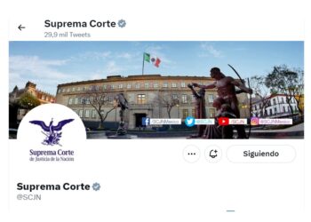 A partir de ya, instituciones y autoridades, sean concejales, diputados locales, federales, alcaldes, secretarios de despacho, jefa de Gobierno, ya no deberían utilizar su cuenta de Twitter sólo para promoción personal y de difusión de sus acciones de gobierno o pensamiento político.