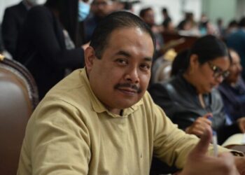 Incrementa tala de árboles durante el Gobierno de Tabe, acusan