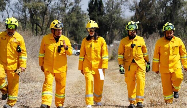 Lía Limón supervisa el “Plan Manejo de Fuego” para prevenir incendios forestales