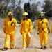 Lía Limón supervisa el “Plan Manejo de Fuego” para prevenir incendios forestales
