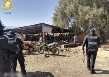 Clausuran bodega de madera clandestina en Tláhuac