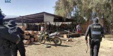 Clausuran bodega de madera clandestina en Tláhuac