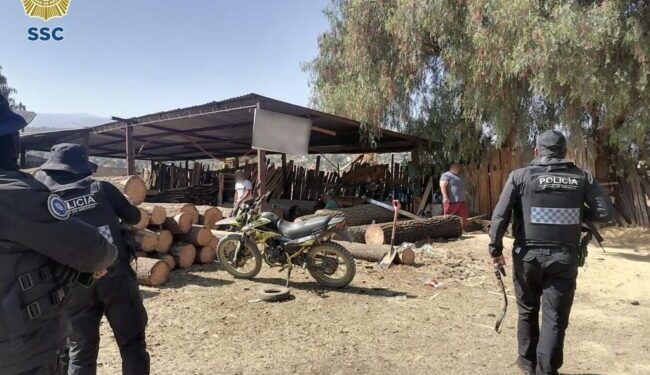Clausuran bodega de madera clandestina en Tláhuac