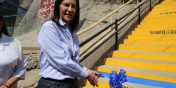 En esta administración si se puede hacer más con menos recursos: Lía Limón