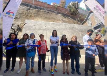 Mantenimiento urbano, imprescindible en Álvaro Obregón: Lía Limón