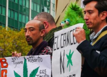 Desalojan a ‘Plantón 420’ de la Plaza Luis Pasteur