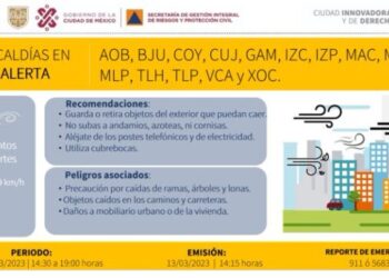 Activan alerta amarilla en 14 Alcaldías por vientos fuertes