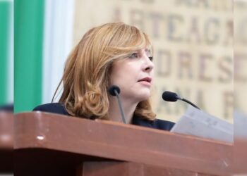 Mientras no haya nuevo reglamento, nos cuenta la diputada Gaby Salido, del PAN, se seguirá aplicando la Ley de Publicidad Exterior del Distrito Federal, que es bastante más blanda.