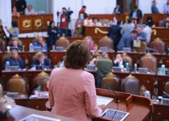 Por ser la coordinadora de la mayoría en el Congreso de la Ciudad de México, la diputada Martha Ávila es quien carga más responsabilidad del papel tan lamentable que ha hecho ese órgano legislativo de 2019 a la fecha.