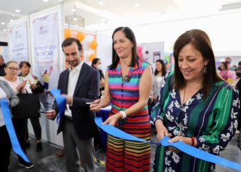 Trabajamos para que haya más empleos y mejor pagados: Lía Limón