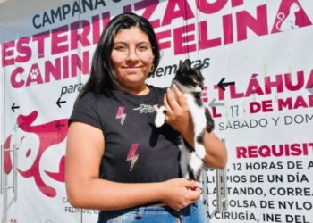 Jornada intensa de esterilización canina y felina en Tláhuac