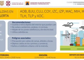 Activan alerta amarilla en 12 Alcaldías por fuertes vientos; alertan por caída de árboles