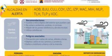 Activan alerta amarilla en 12 Alcaldías por fuertes vientos; alertan por caída de árboles