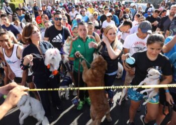 ¿Qué fue el Maratón Canino en Coyoacán?