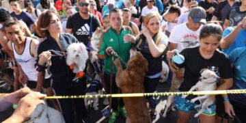 ¿Qué fue el Maratón Canino en Coyoacán?
