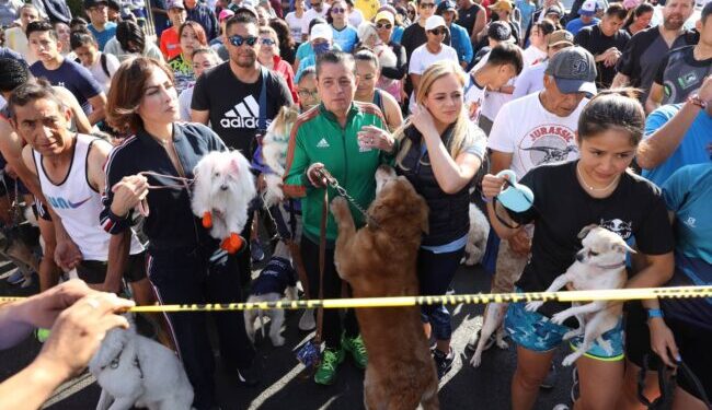 ¿Qué fue el Maratón Canino en Coyoacán?
