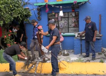 Retira ÁO 140 toneladas de artículos para ‘apartar’ lugares: Lía Limón