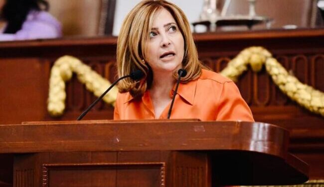 Propone Gaby Salido que la ley garantice recursos para la red de agua en la CDMX