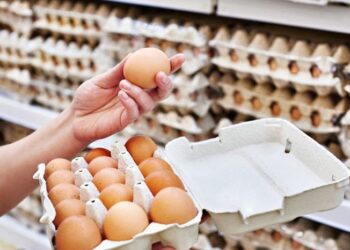 El Sistema Nacional de Información e Integración de Mercados (SNIIM) informó que, el precio del kilo de huevo kilo de huevo a menudeo en CDMX se mantendrá entre los 41 y 42 pesos.