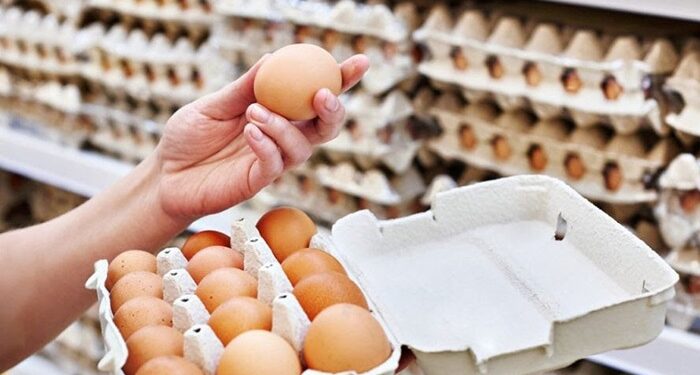 El Sistema Nacional de Información e Integración de Mercados (SNIIM) informó que, el precio del kilo de huevo kilo de huevo a menudeo en CDMX se mantendrá entre los 41 y 42 pesos.