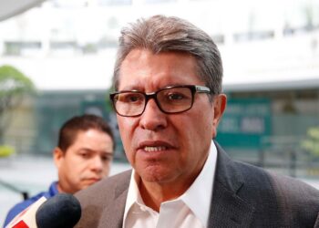 "Es la decisión de la última instancia jurisdiccional que revisa los actos del Poder Legislativo".