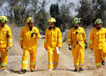 Se reducen 91.08 por ciento incendios forestales en Álvaro Obregón: Lía Limón