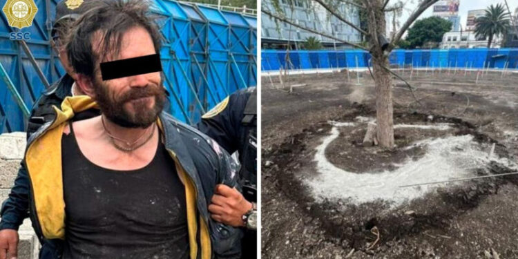 Vinculan a proceso al hombre que regó con cemento ahuehuete en Reforma