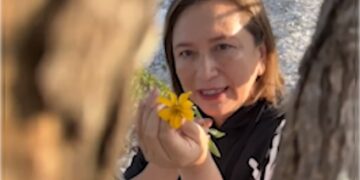 Precisamente Xóchitl dijo que va a esperar al anuncio de los dirigentes del PAN, PRI y PRD sobre el método de selección de su candidato, pero lo más importante para ella, es que si se va a garantizar o no cancha pareja para todos los aspirantes.