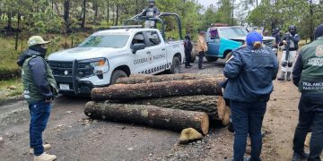 En el caso de la tala ilegal de árboles, gracias a una sólida estrategia con los gobiernos capitalinos y federal, el gobierno de la Alcaldesa Gabriela Osorio Hernández ha logrado erradicar 50 puntos de tala ilegal y desmantelado 14 aserraderos clandestinos.