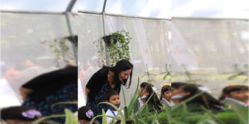 Inaugura Lía Limón hotel para insectos e invernadero en la explanada de la Alcaldía