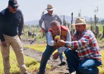 Inician temporada de siembra de amaranto en la zona patrimonio de CDMX