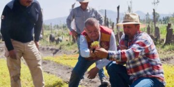 Inician temporada de siembra de amaranto en la zona patrimonio de CDMX