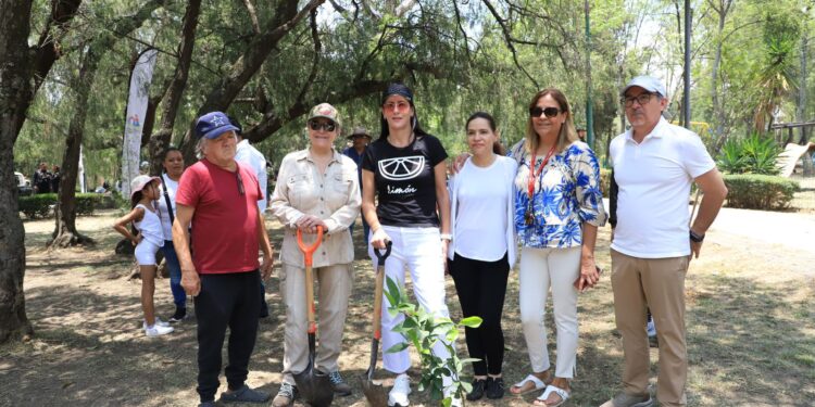 Se plantarán 3 mil árboles en la Alcaldía: Lía Limón