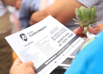 Blindar ÁO sigue dando buenos resultados: Lía Limón