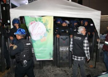 Tlalpan clausura 62 chelerías ilegales: Alfa González